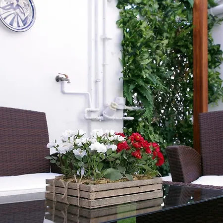 Alberti Penthouse Ayuntamiento